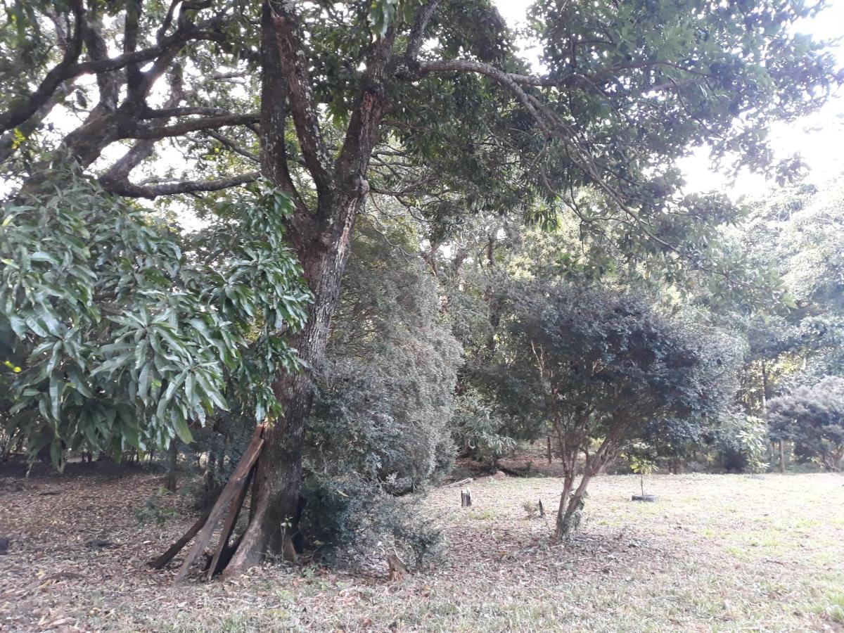Chalé Veredas e Buritis Pirenópolis Exterior foto